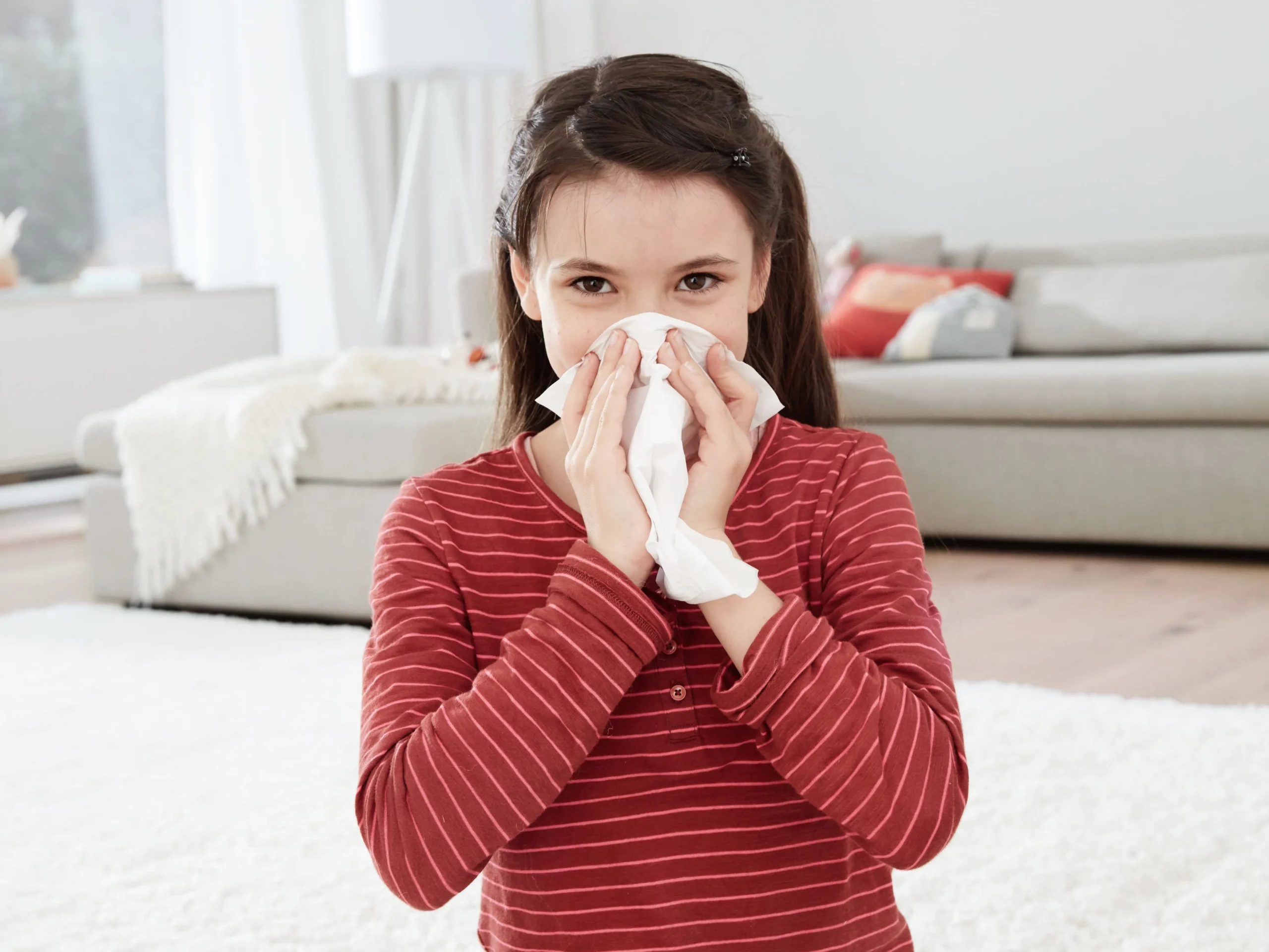 Filter HEPA AirClean