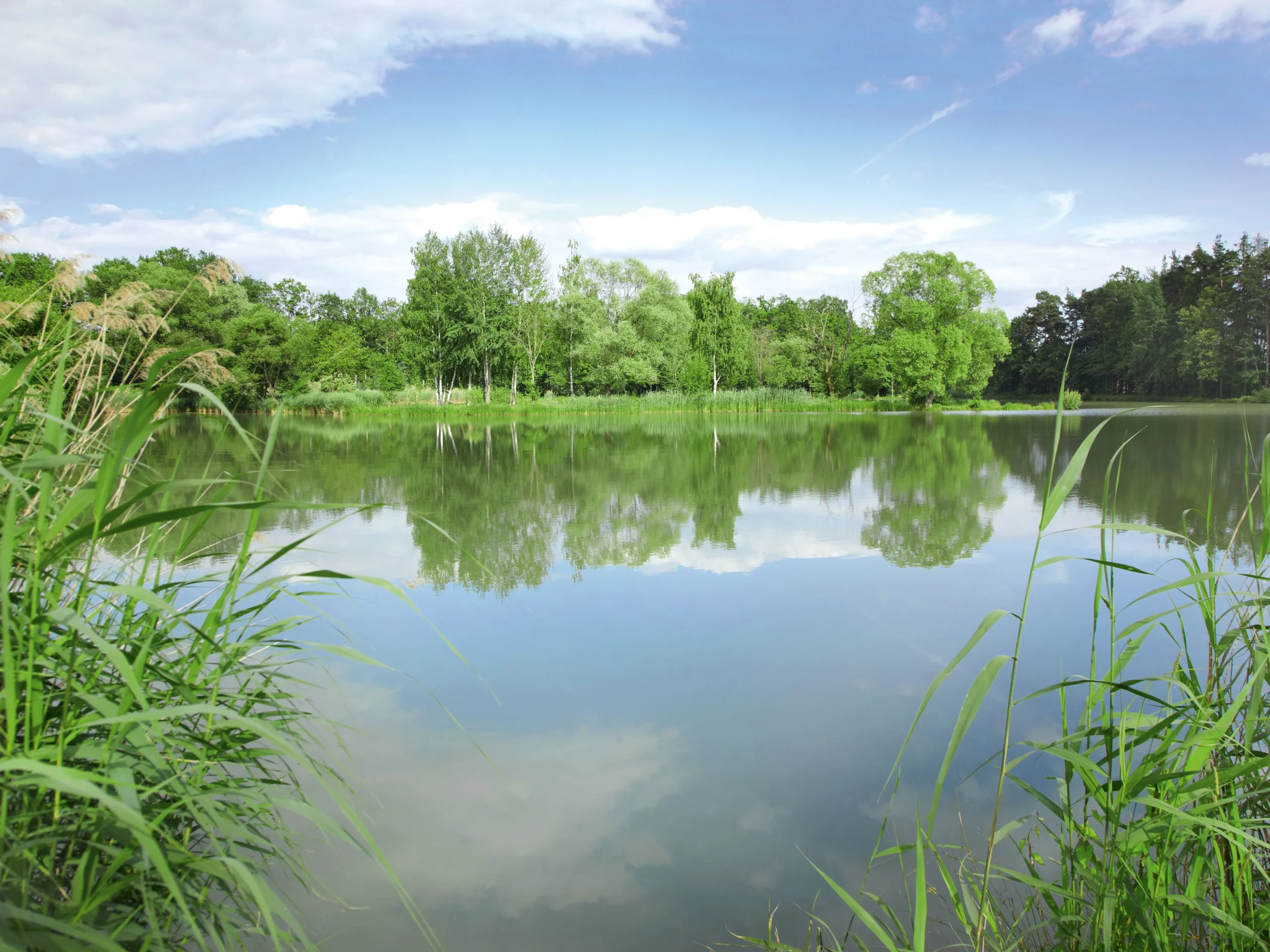 100 % recyklovaný plast