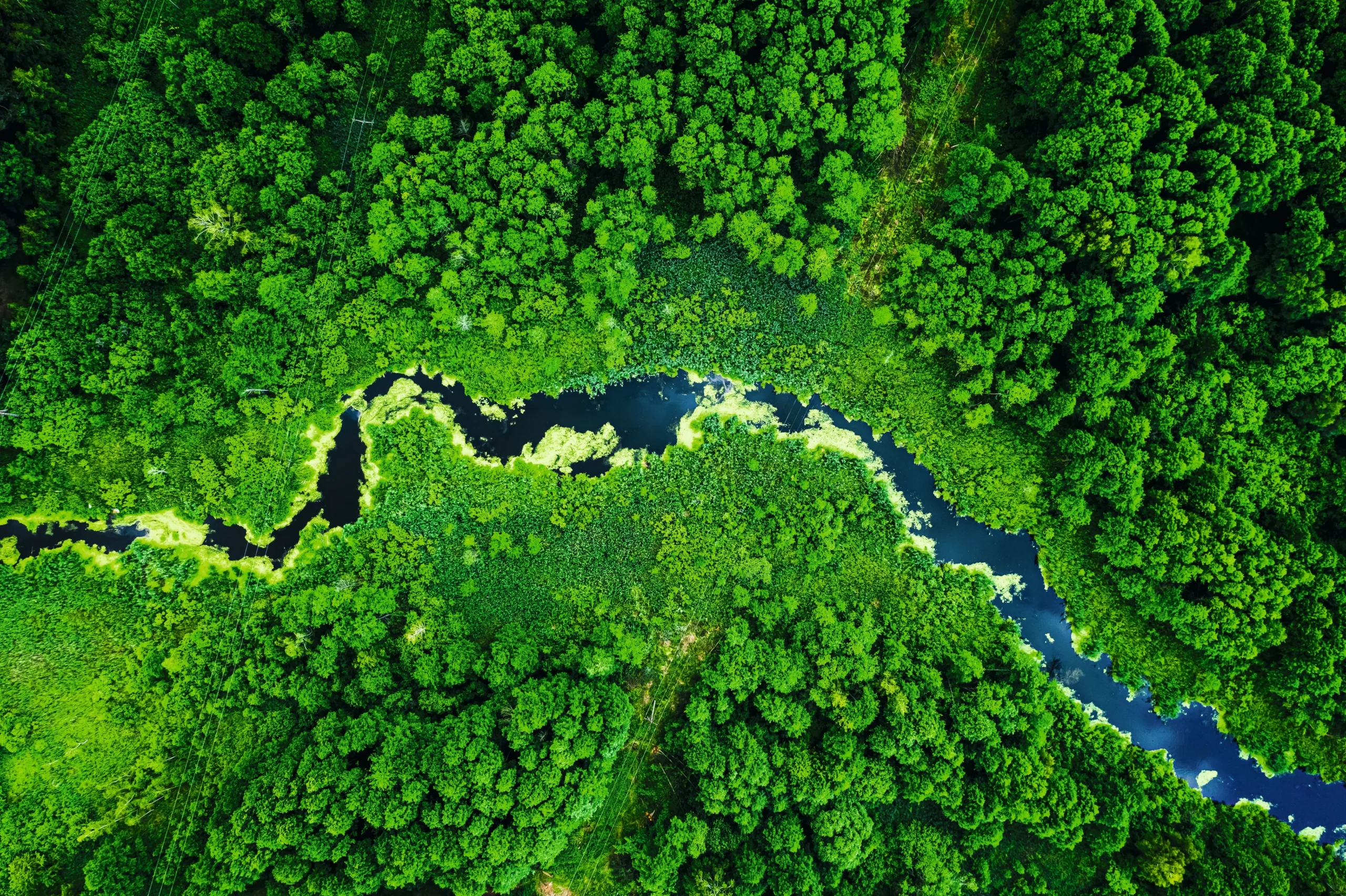 Eko ochrana prostredia