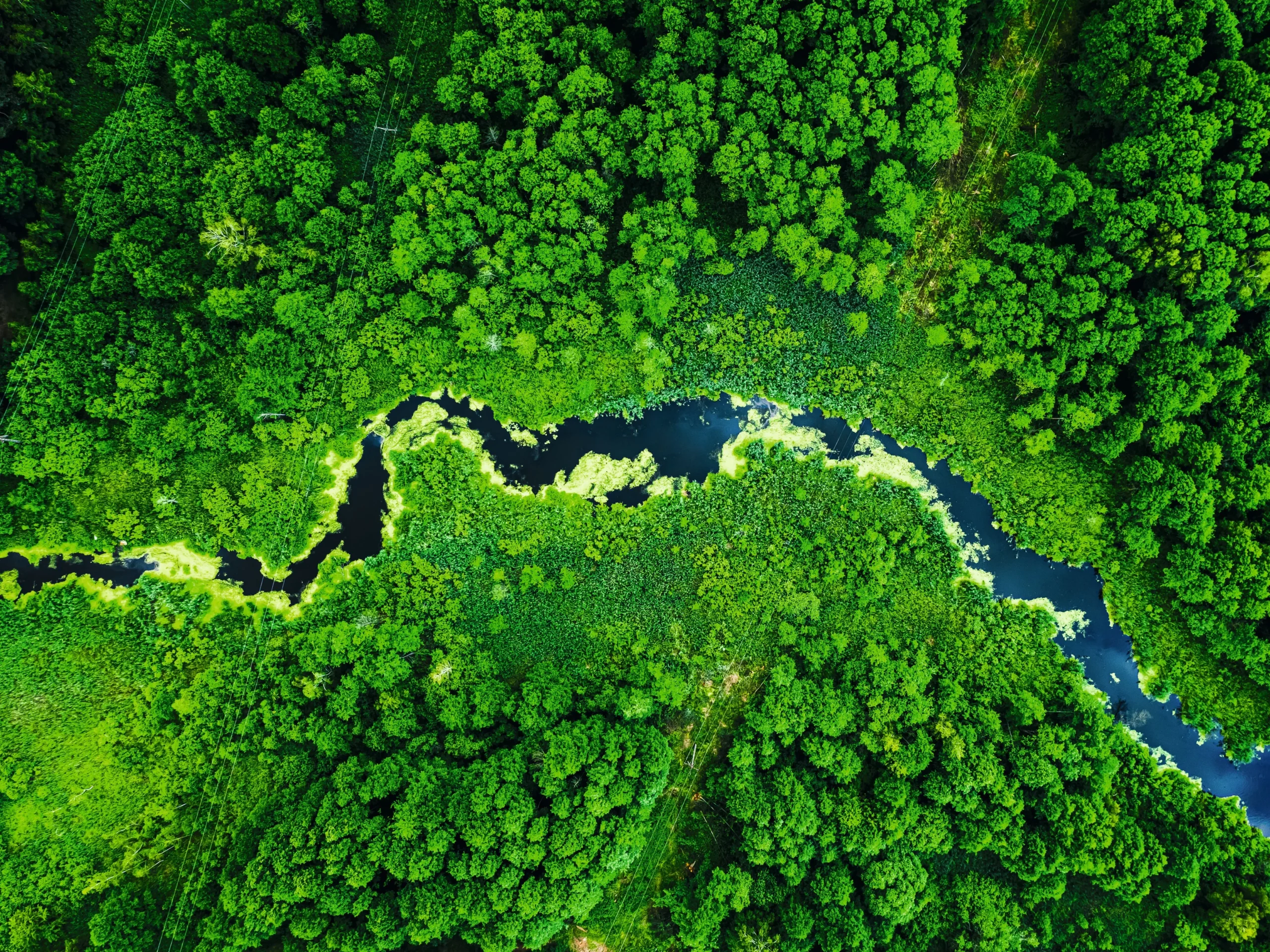 Miele: efektívne a ekologické