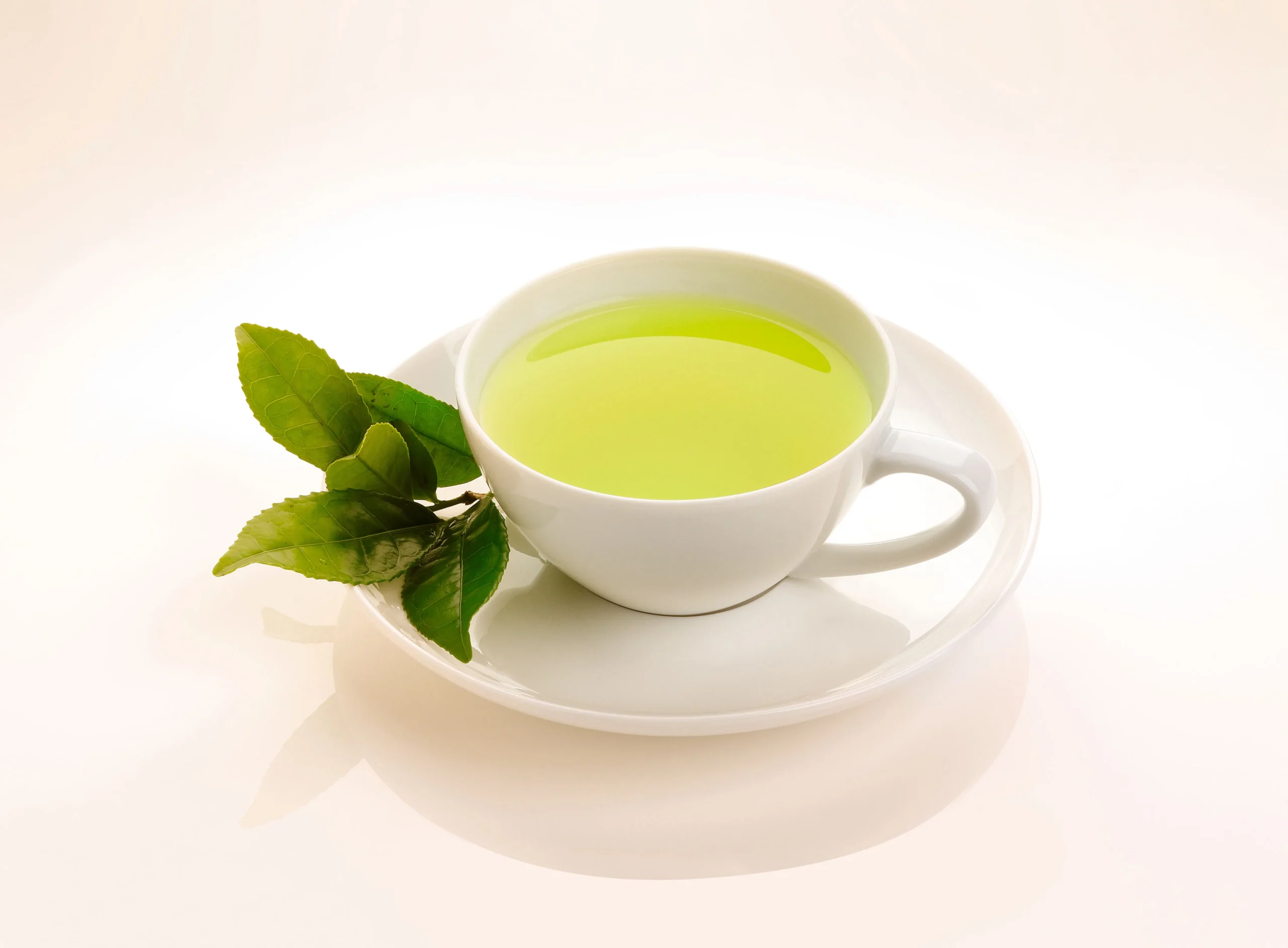 Japonský čaj obyčajný